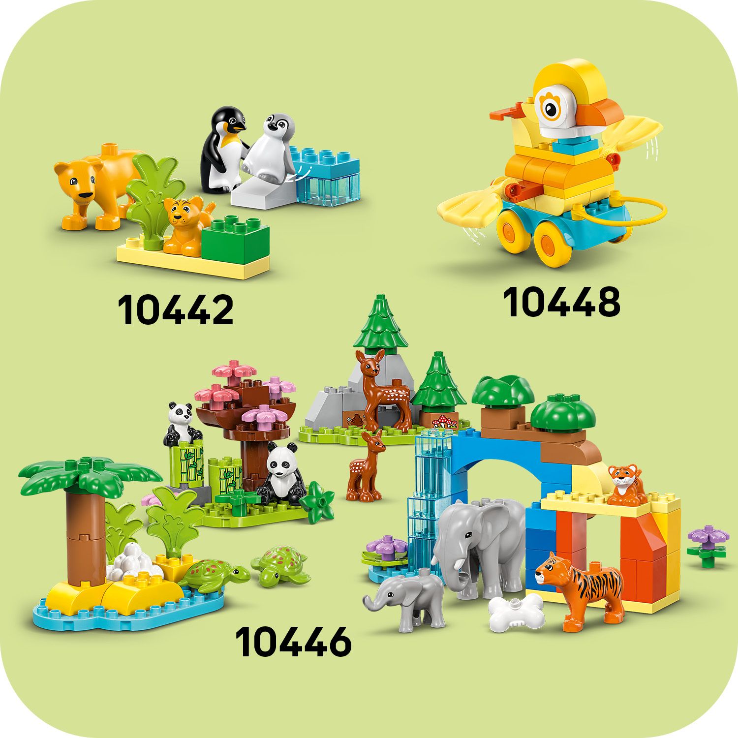 Svět radostného rozvoje dovedností