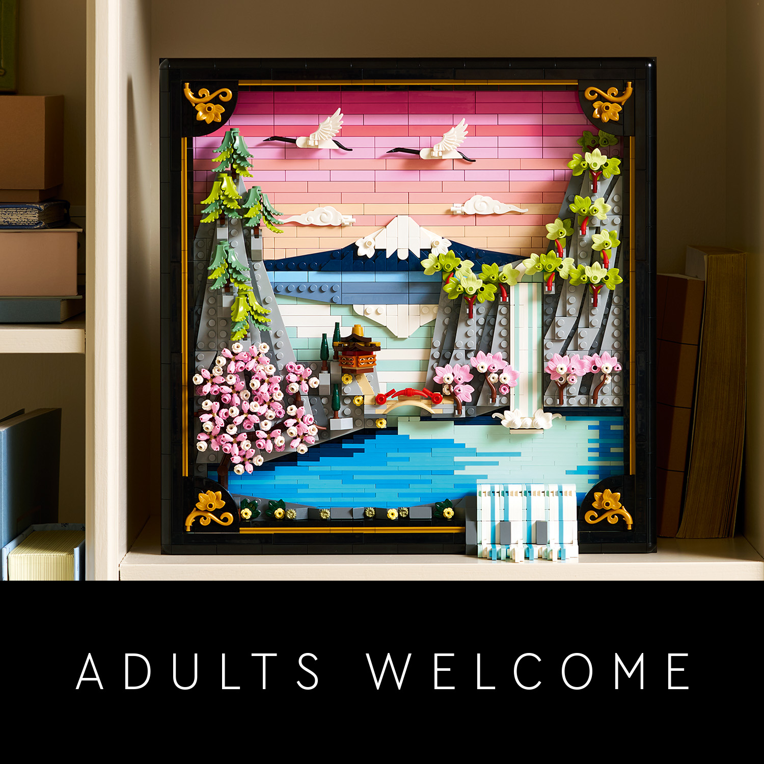 Skvělý dárek pro dospělé