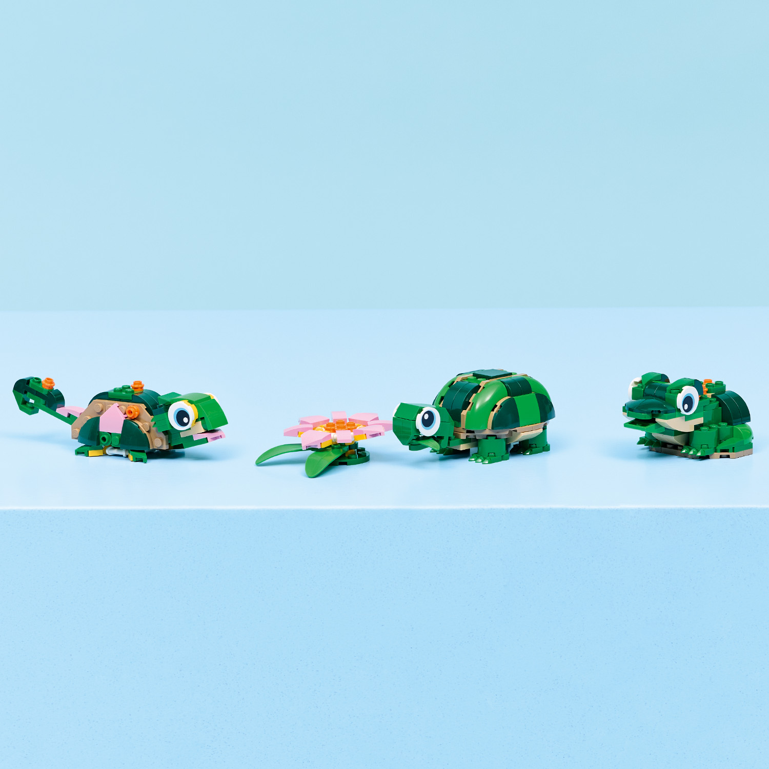 Skvělá odměna pro milovníky zvířat