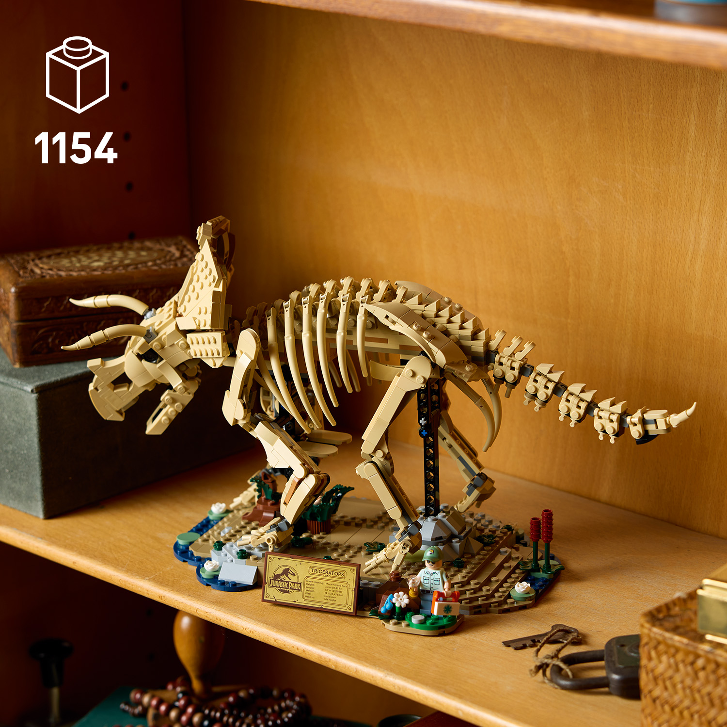 Detailní kostra dinosaura jako výstavní model