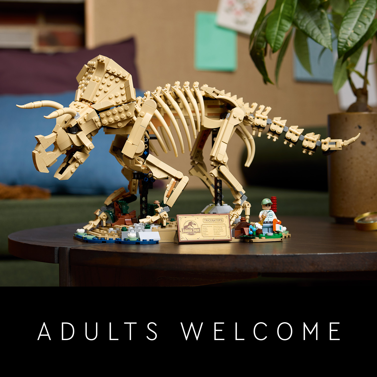 Kostra triceratopse pro milovníky dinosaurů